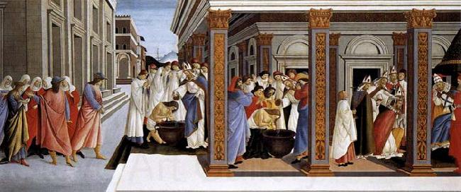 BOTTICELLI, Sandro Baptism of St Zenobius and His Appointment as Bishop Spain oil painting art